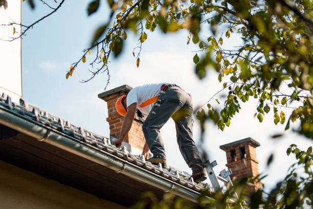 Best Slate Roofing Contractor  in Albany, IN