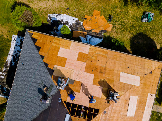 Best Commercial Roofing Services  in Albany, IN