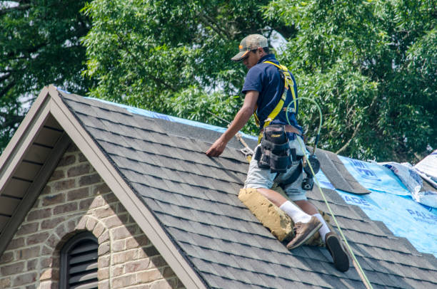 Best New Roof Installation  in Albany, IN